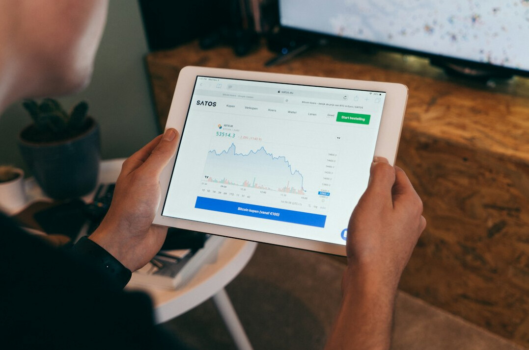 person reviewing investment charts